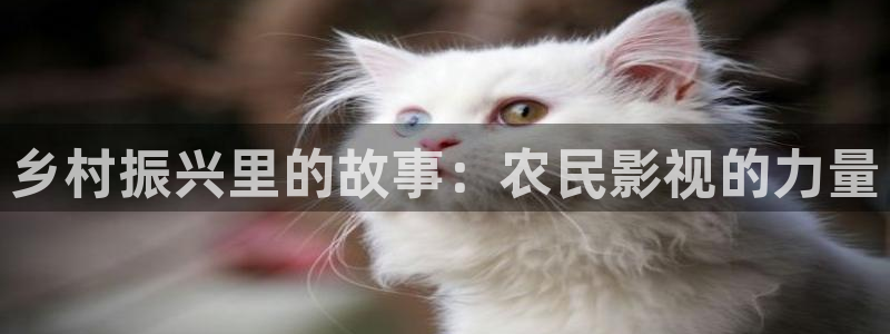 即看影视官网：乡村振兴里的故事：农民影视的力量