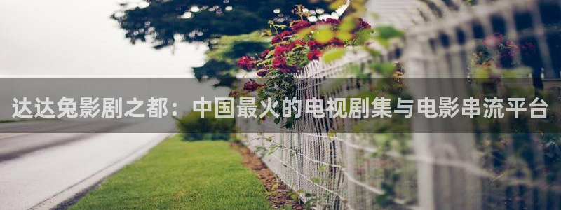 即看影视app下载：达达兔影剧之都：中国最火的电视剧集与电影串流平台