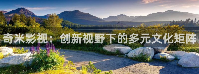 即看影视官方版下载：奇米影视：创新视野下的多元文化矩阵